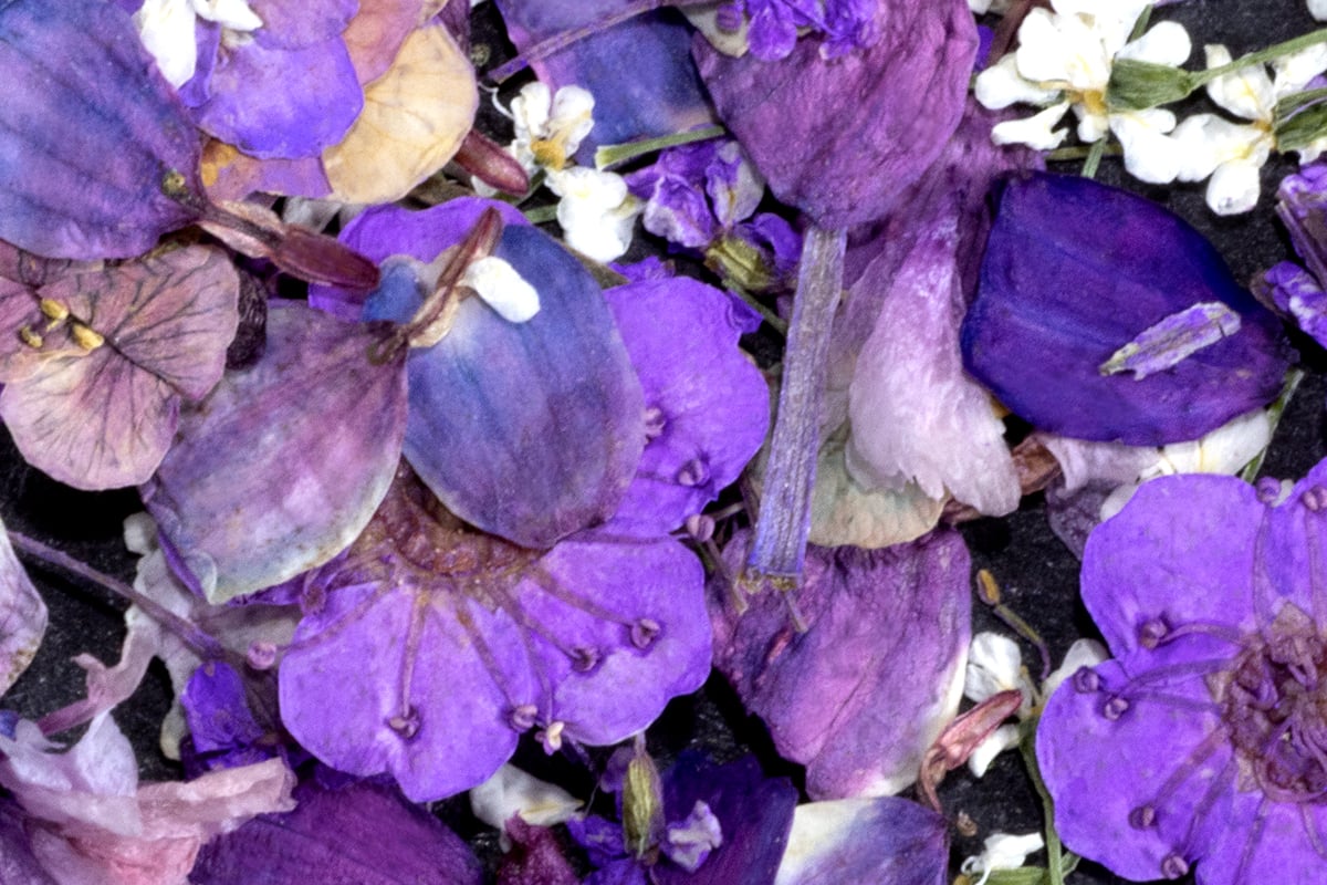 Jolifin Dried Flowers - Mini Blüten violet mix